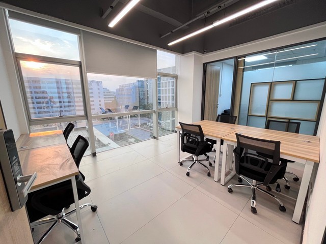 奉化区直销柑橘